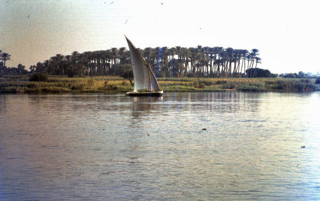 Vallée du Nil